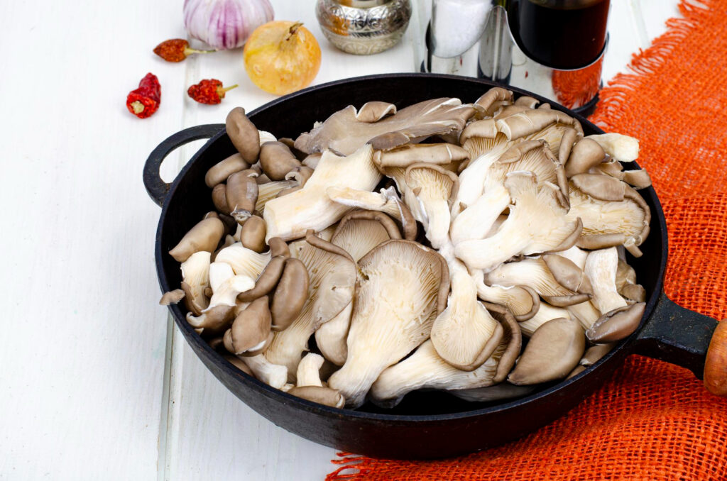 Austernpilze Rezept Airfryer